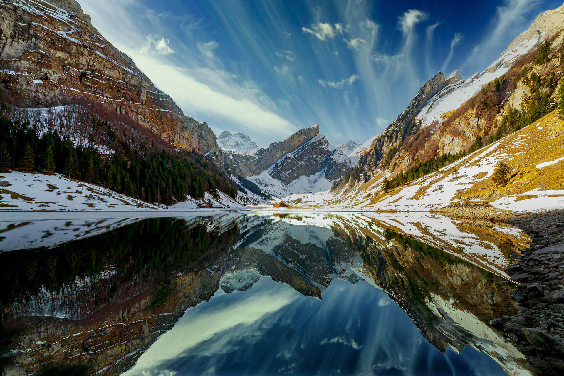 Demo Description Title