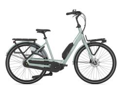 Gazelle Bloom C7 HMS 